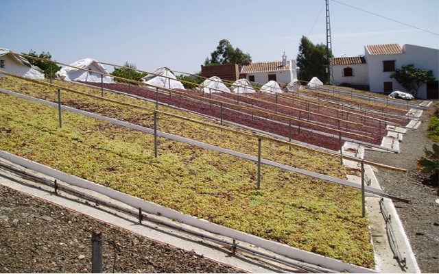 Historia del vino de Málaga